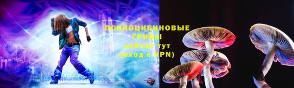 прущий лед Алзамай