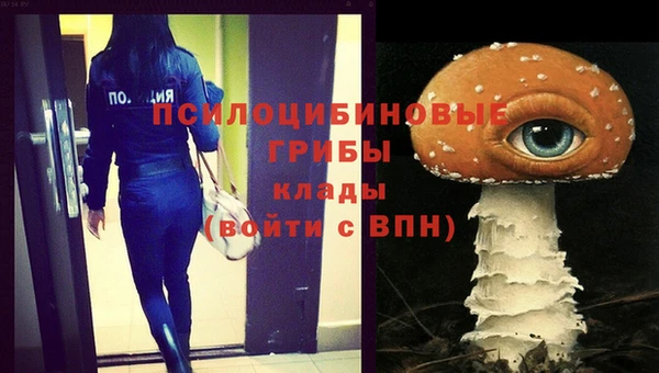 прущий лед Алзамай