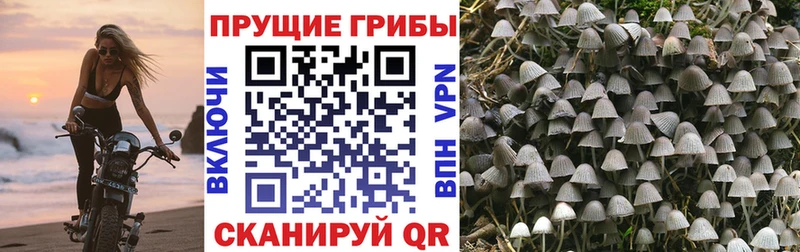 Галлюциногенные грибы MAGIC MUSHROOMS кракен зеркало Макушино